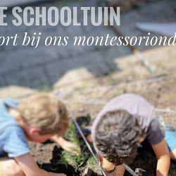 schooltuin